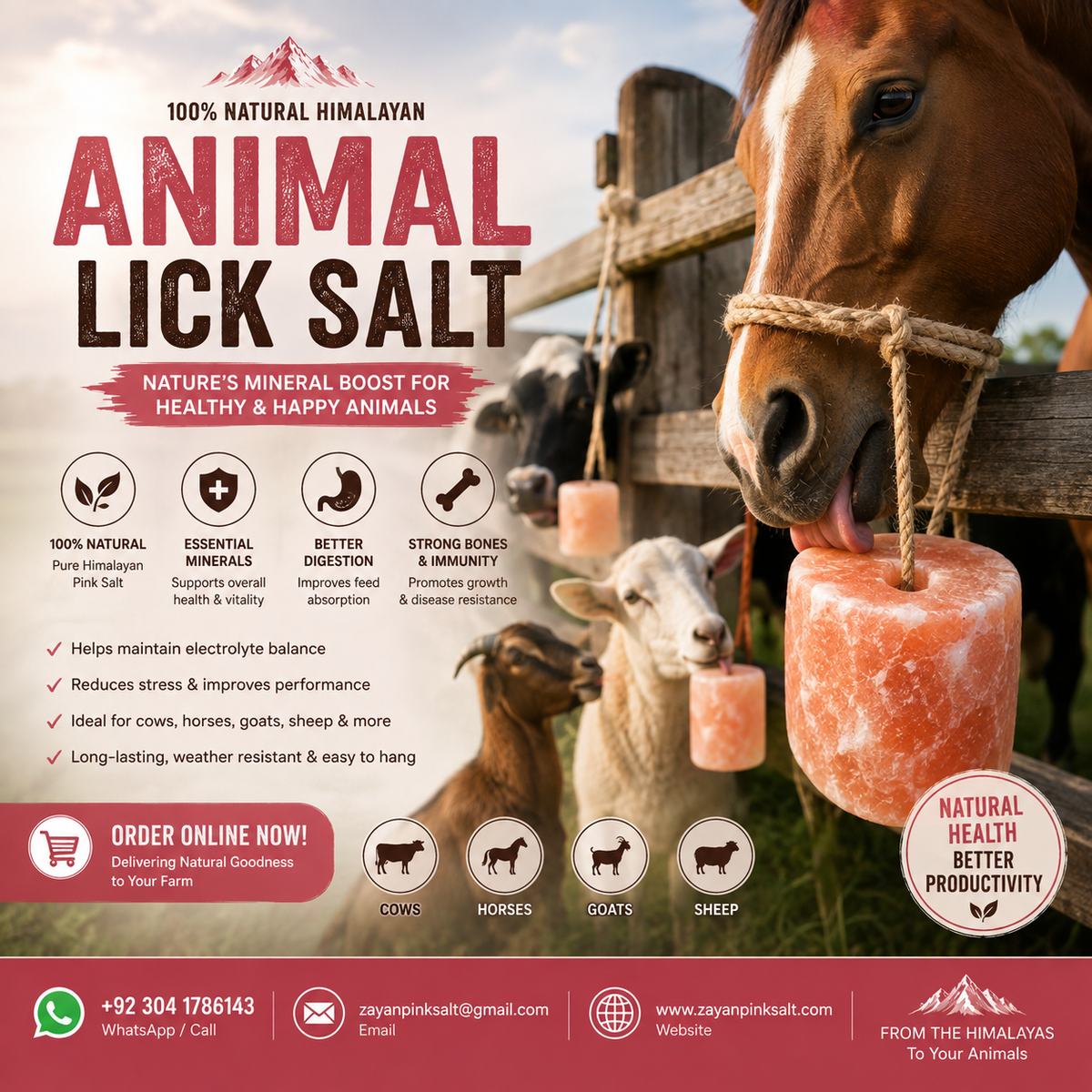 Himalayan Salt Lick with Rope – Natural Mineral Supplement for Animals (2-3 kg)